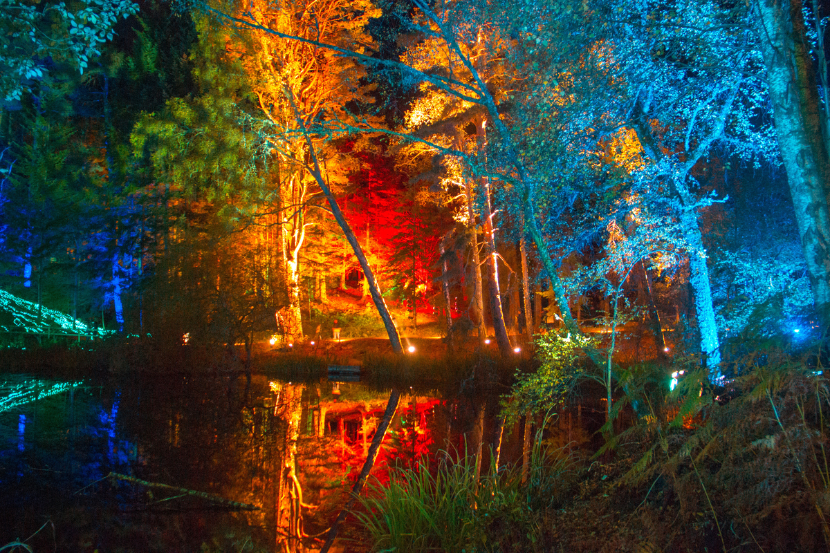 The Enchanted Forest, Perthshire